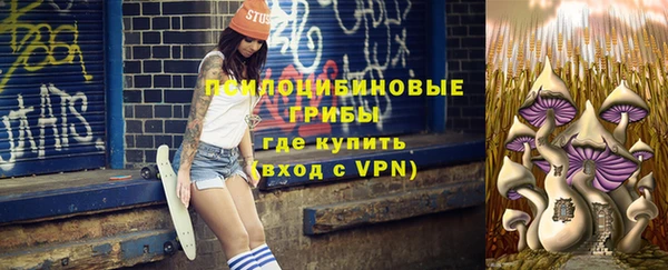 ГАЛЛЮЦИНОГЕННЫЕ ГРИБЫ Белоозёрский