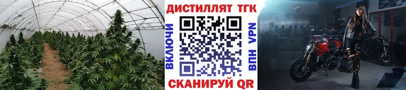 ТГК вейп  Светлоград 