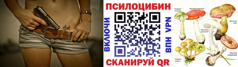 Псилоцибиновые грибы ЛСД  Светлоград 